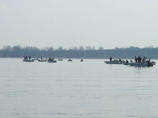 Weiterer Blick übers Wasser, zu sehen ist eine Ansammlung von Angelbooten die über einem Heringschwarm stehen
