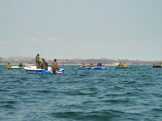 Bild zahlreicher Angelboote auf der Suche nach dem Heringsschwarm