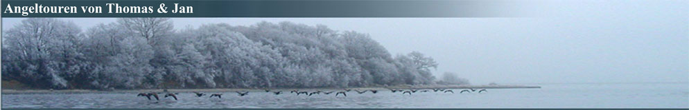 Banner- Zugvögel die übers Wasser fliegen